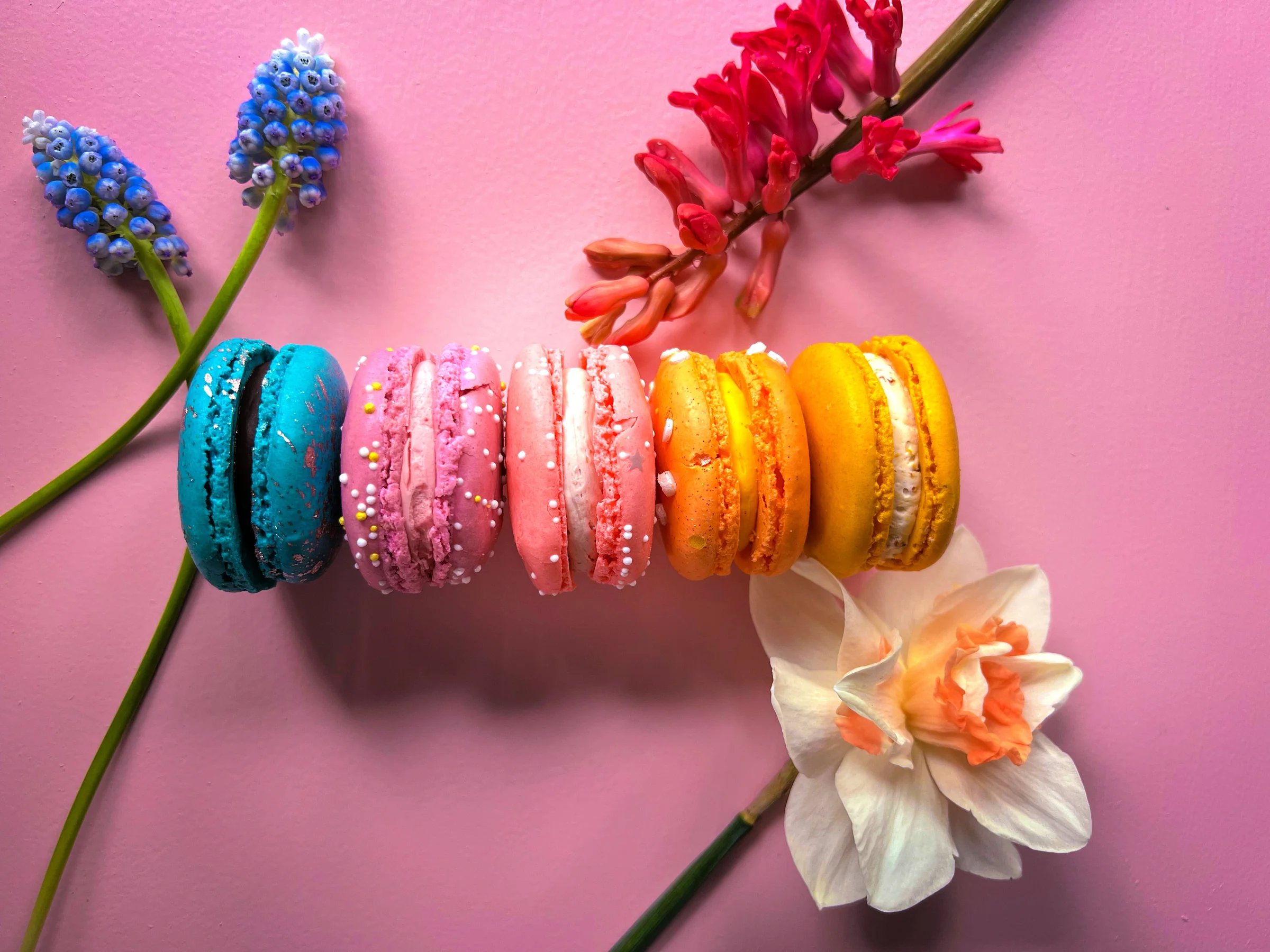 Exquisite French Macarons Delivered Daily